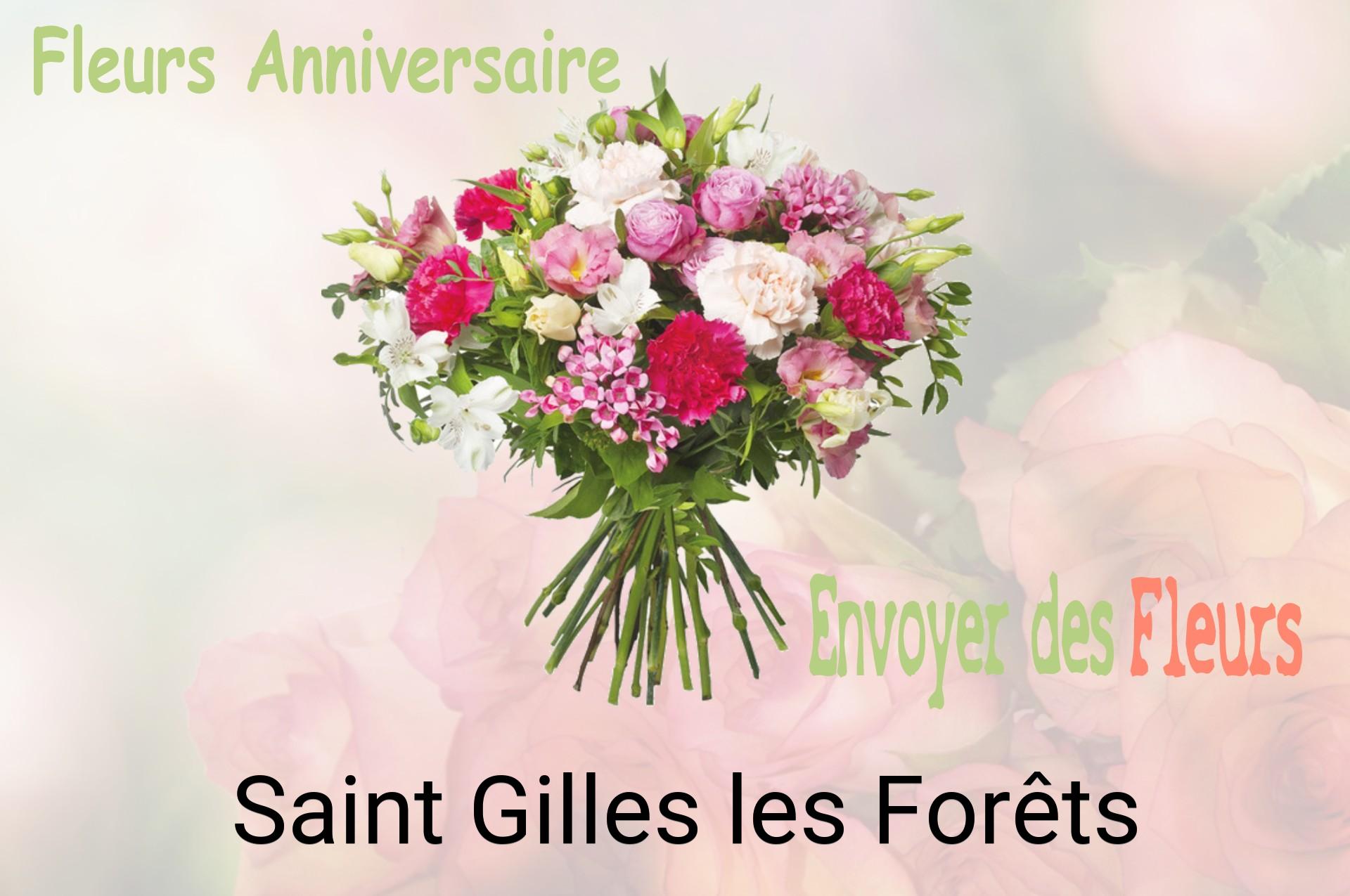 Bouquet de fleurs d’anniversaire livré à Saint-Gilles-les-Forêts
