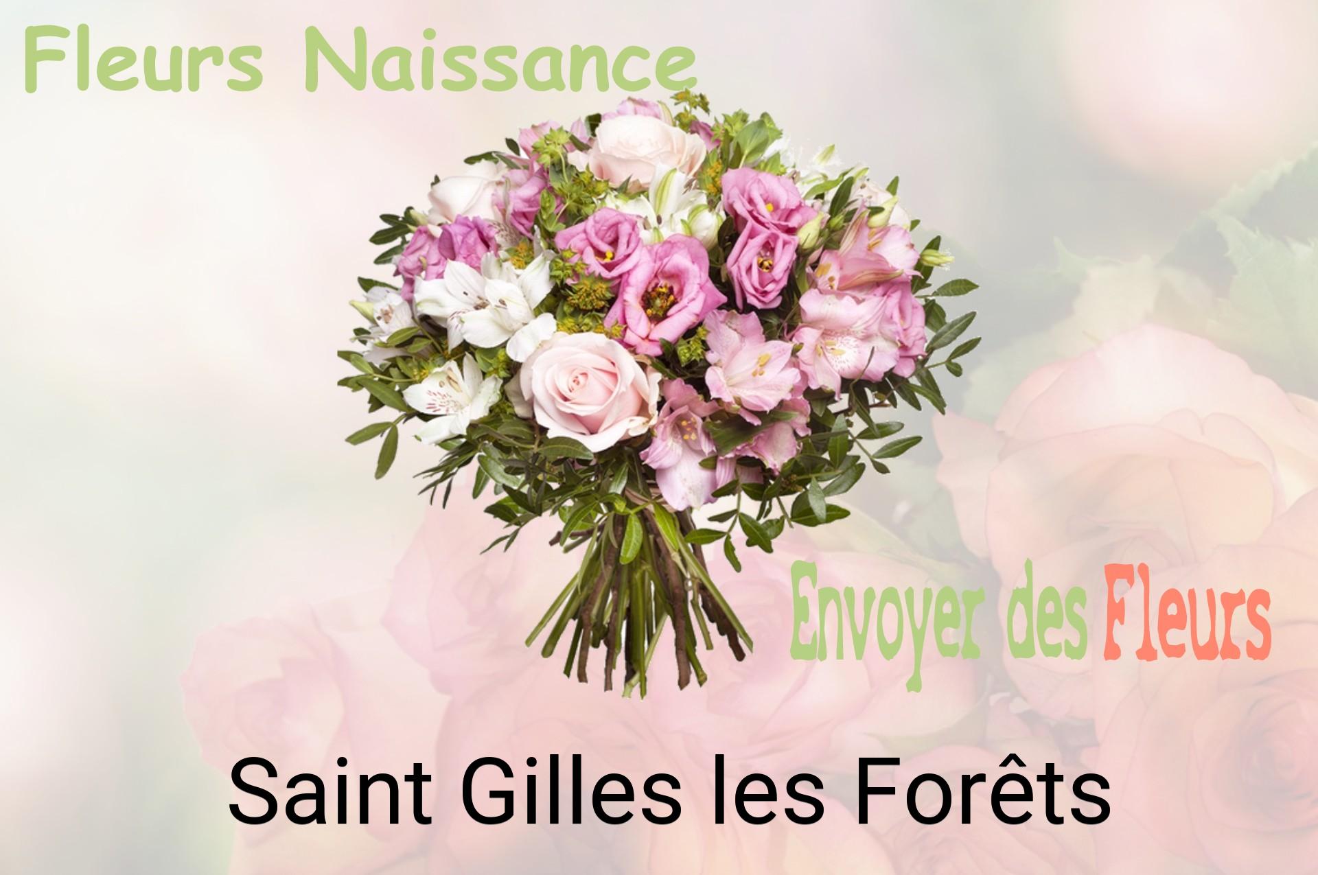 Bouquet de fleurs de naissance livré à Saint-Gilles-les-Forêts
